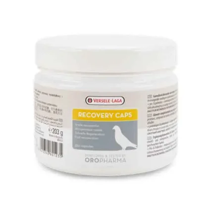 Recovery Caps - Protein and energy rich feed capsules to support sick or weak pigeons.